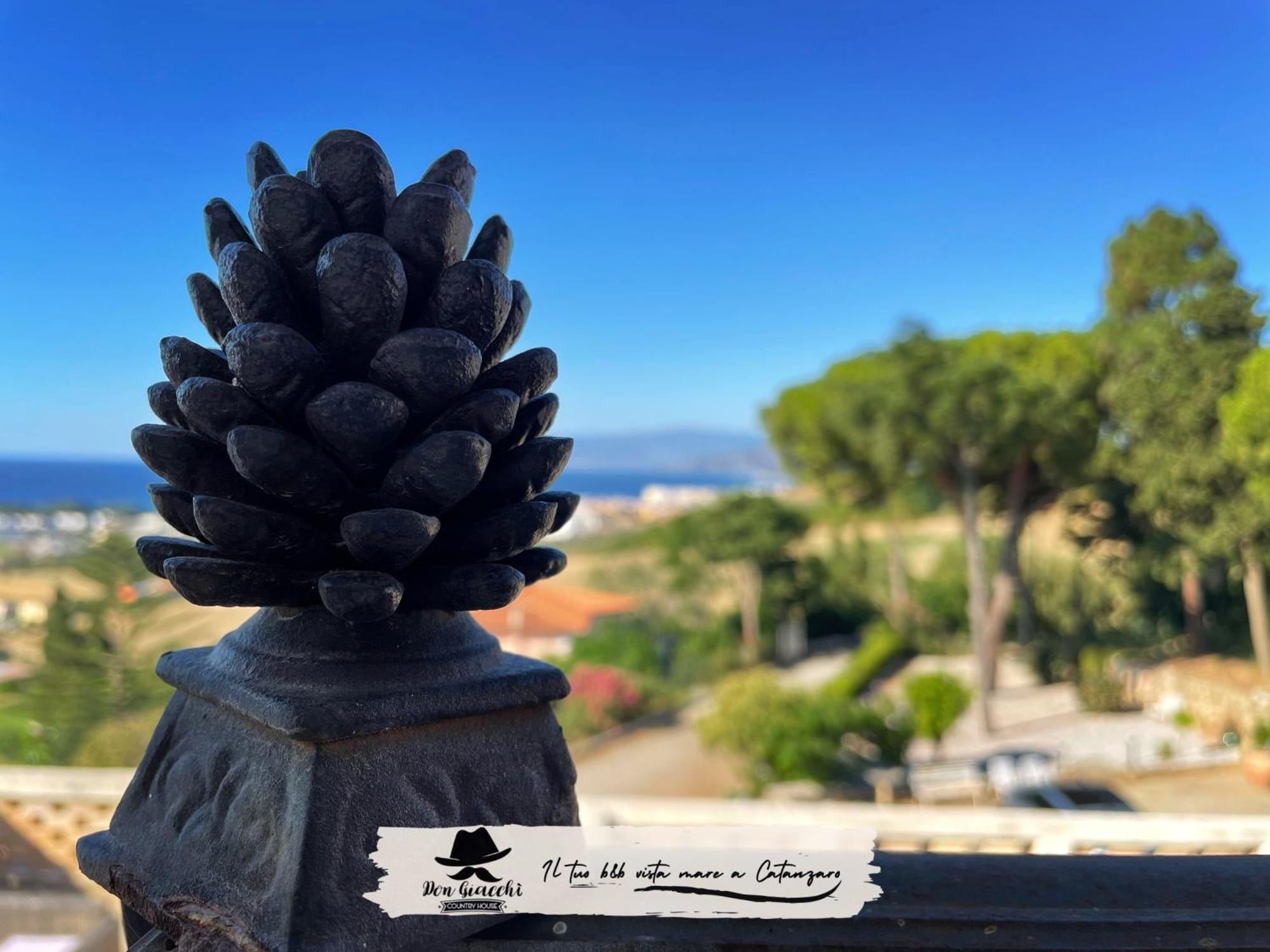 Don Giacchi Country House カタンザーロ エクステリア 写真