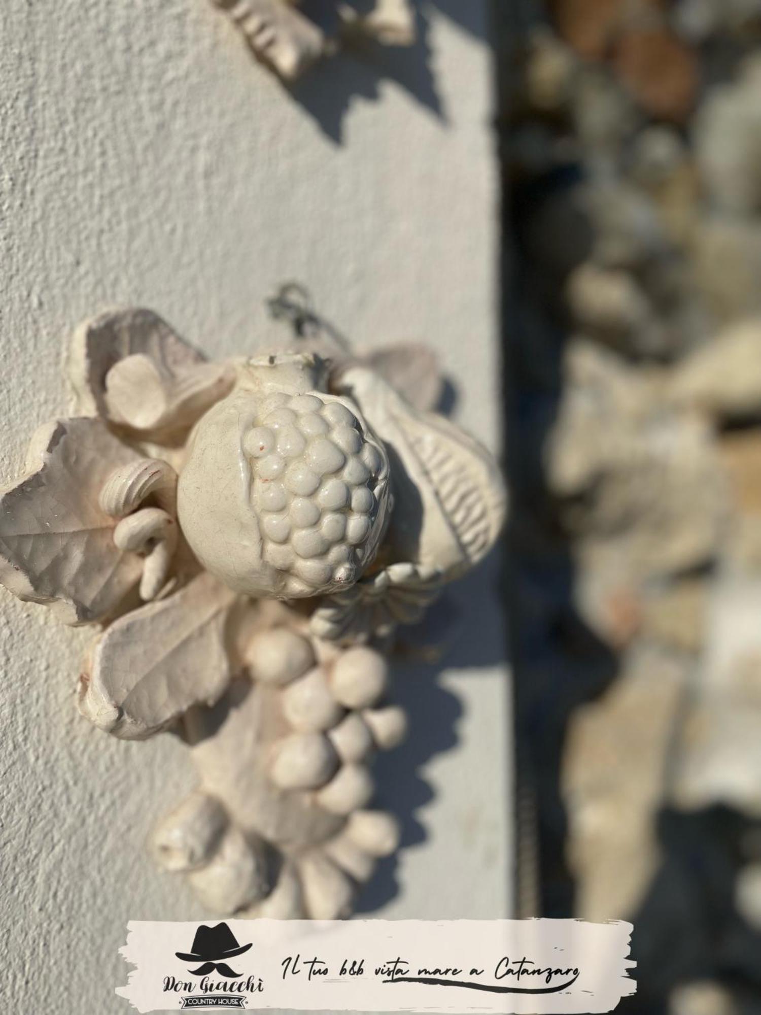Don Giacchi Country House カタンザーロ エクステリア 写真