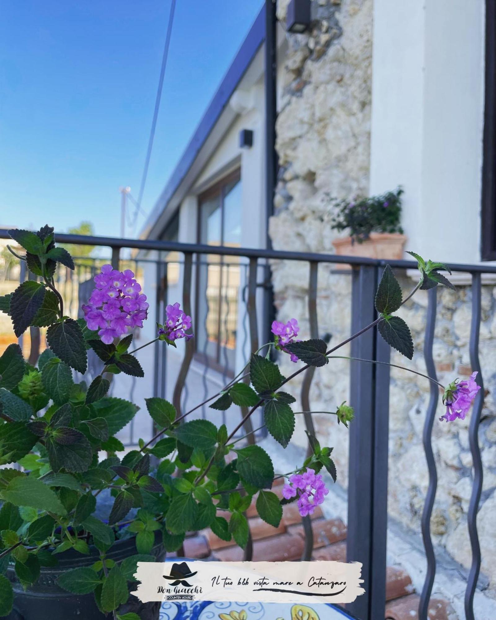 Don Giacchi Country House カタンザーロ エクステリア 写真