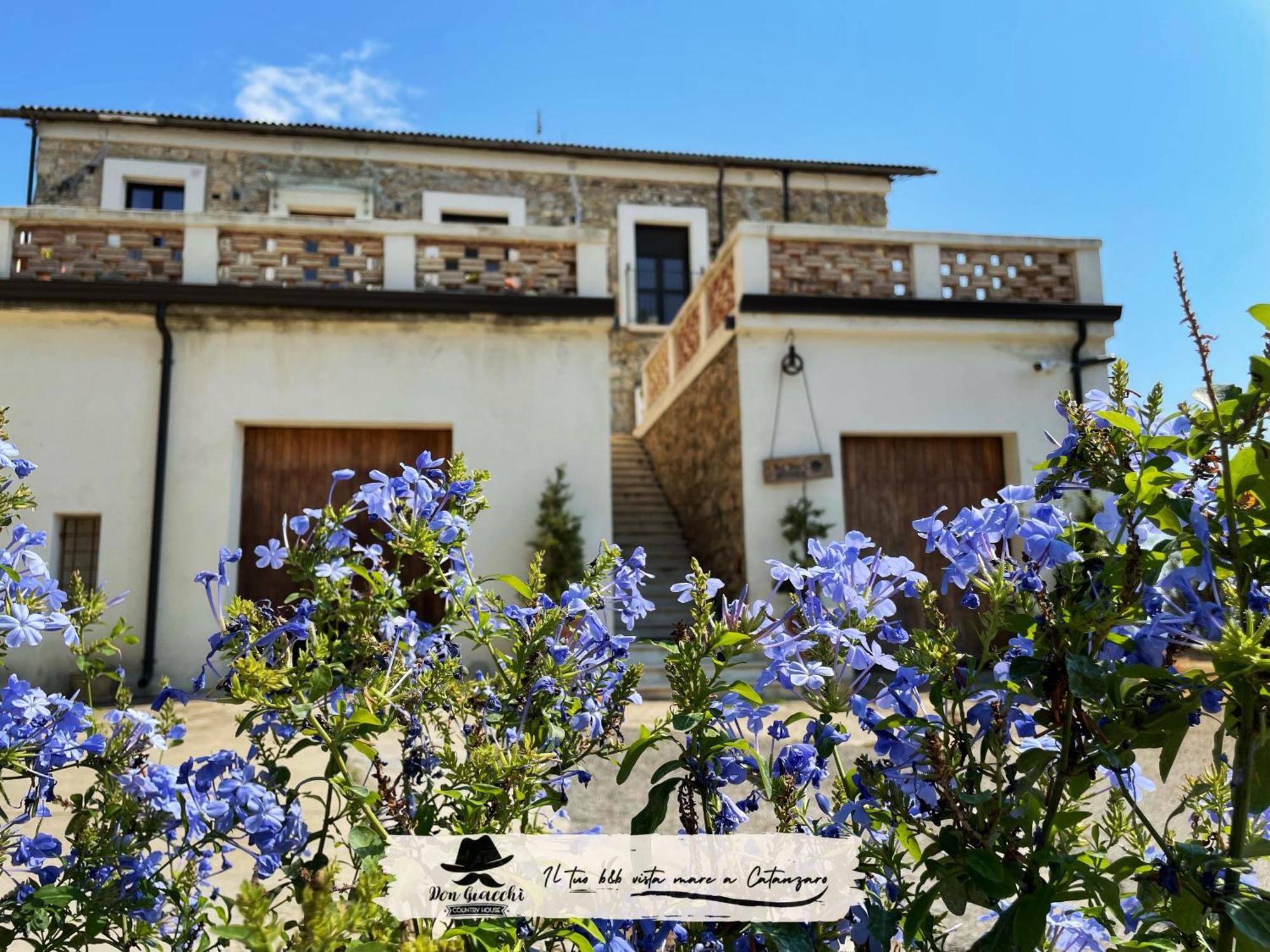 Don Giacchi Country House カタンザーロ エクステリア 写真