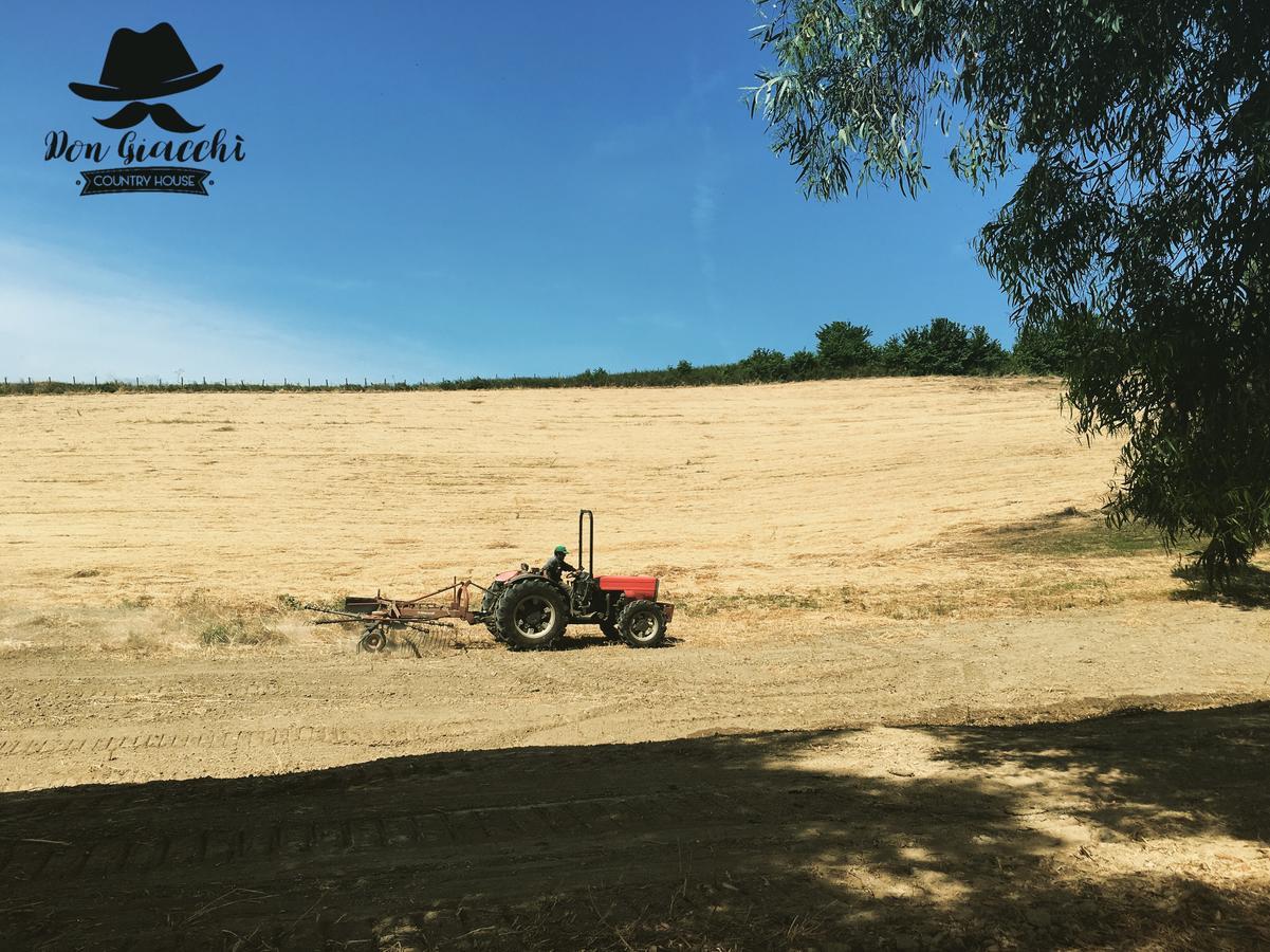 Don Giacchi Country House カタンザーロ エクステリア 写真