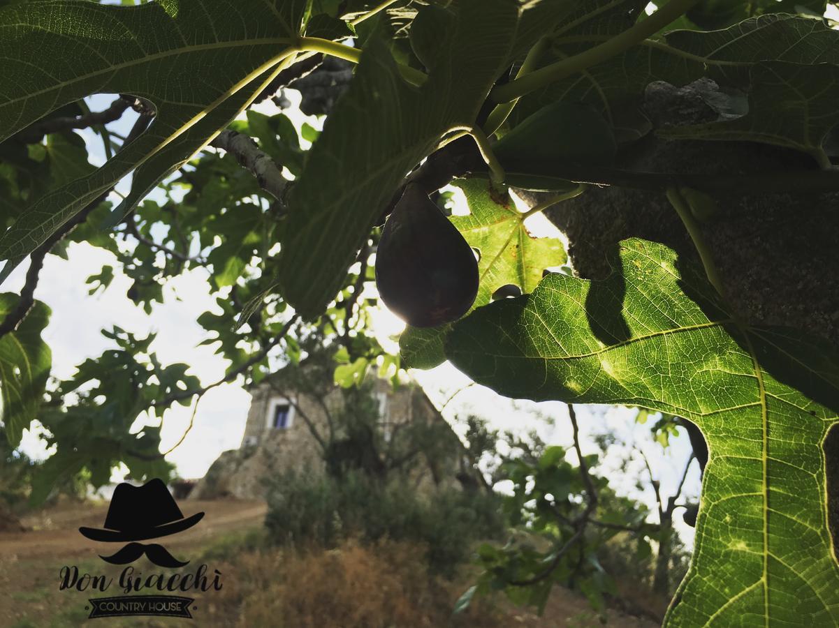Don Giacchi Country House カタンザーロ エクステリア 写真